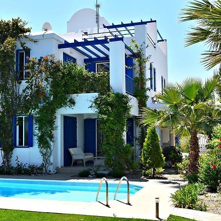 Latchi Beach Front Villa - Private Heated Pool - Amazing Uninterrupted Sea Views Polis 外观 照片