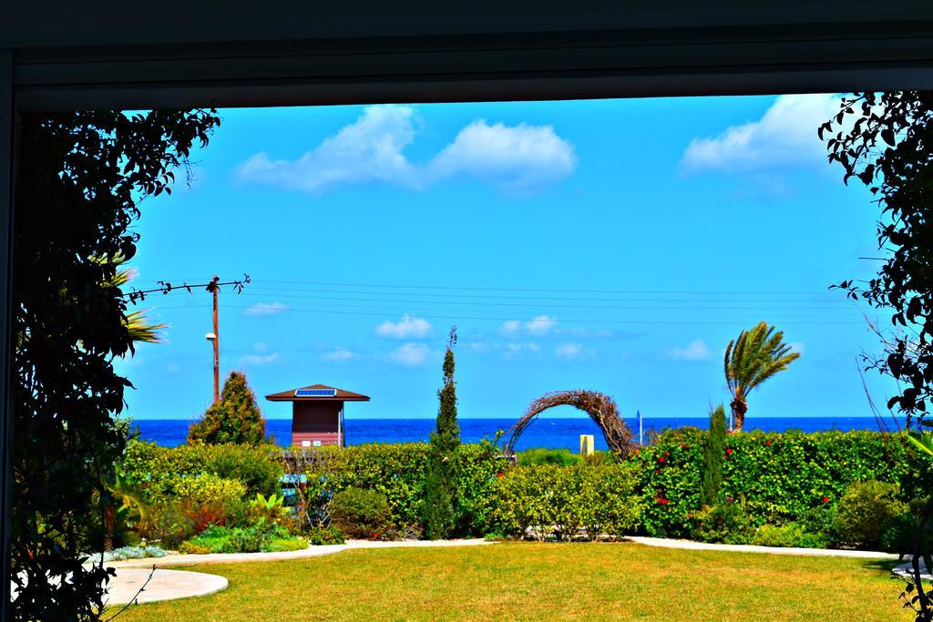 Latchi Beach Front Villa - Private Heated Pool - Amazing Uninterrupted Sea Views Polis 外观 照片